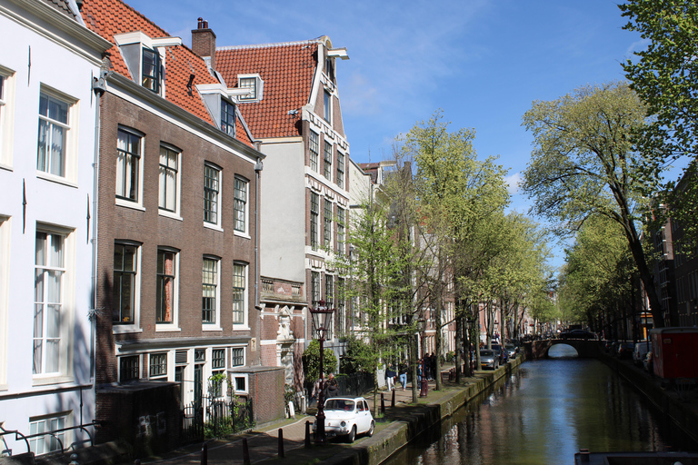 Amsterdam: Layover Flight Private Guided Tour (3h, 4h or 5h) Amsterdam Private Guided Tour for Layover Flight 4 hours