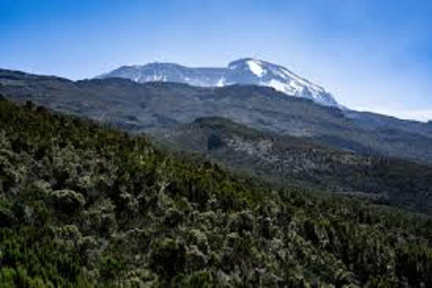 Beste Kilimanjaro Machame Route in 7 dagen, Top Afrika