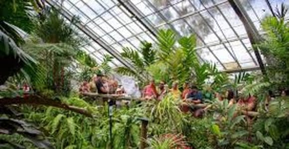 Brisbane: Springbrook Waterfalls and Natural Bridge Day Tour