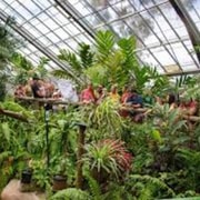 Brisbane: Springbrook Waterfalls and Natural Bridge Day Tour Brisbane: Springbrook Waterfalls and Natural Bridge Day Tour