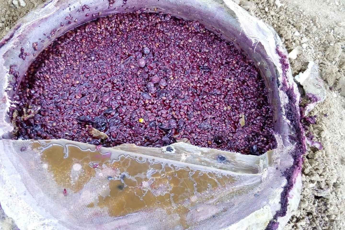 Vayots Dzor Wine Route Day Tour, discover Areni's Wineries