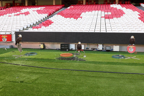 Lisbon: Slide in Sport Lisboa e Benfica Stadium Slide & Stadium Tour with Scarf