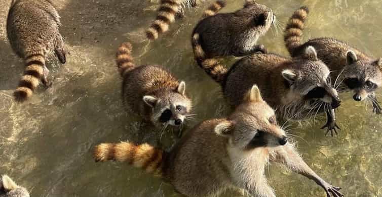 Miami: Celebrity Houses and Star Island Boat Tour photo 7