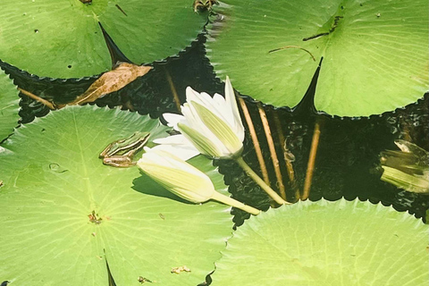 Hike or Boat Trip: Penang National Park & Garden Pick Penang National Park (Trek-In, Boat-Out) & Spice Garden