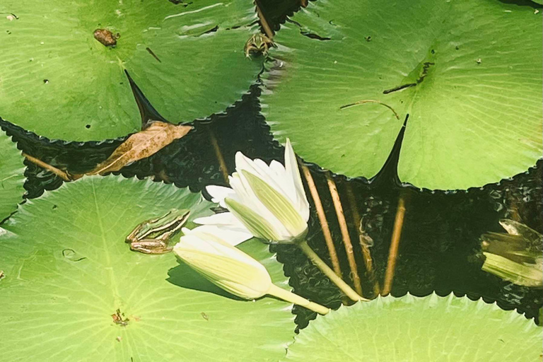 Hike or Boat Trip: Penang National Park & Garden Pick Penang National Park (Trek-In, Boat-Out) & Spice Garden