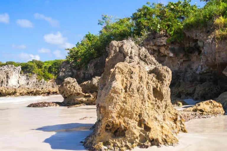 Punta Cana: Buggy Tour with Macao Beach Visit