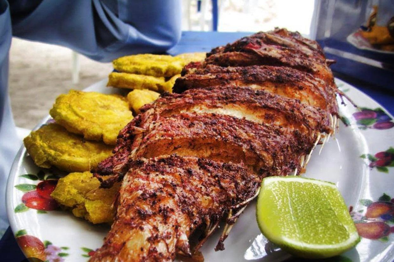 Private Catamaran with Open Bar and Dominican Meal