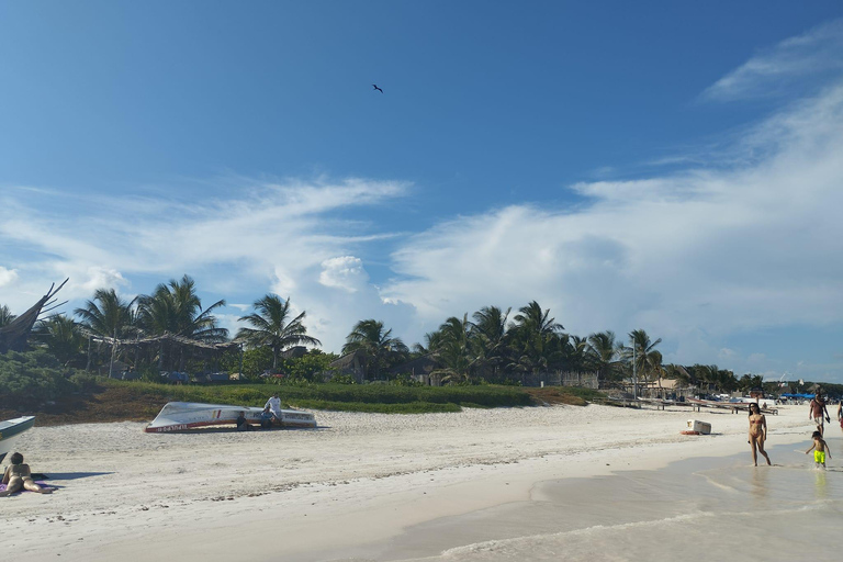 Playa del Carmen Tulum, Playa Paraiso, and 5th Avenue Tour