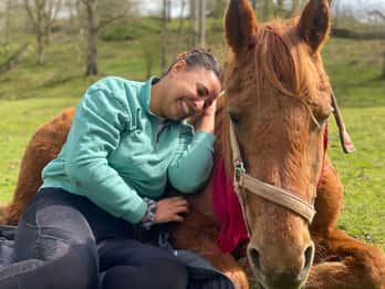 Meditar con caballos