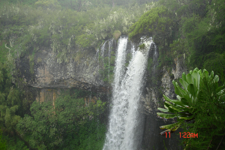 Visite du parc national d&#039;Aberdare depuis Nairobi