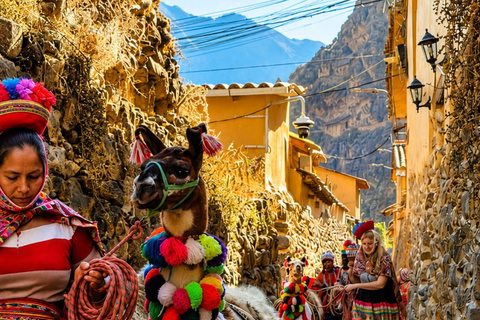Llama Walk in the Inca Village of Ollantaytambo