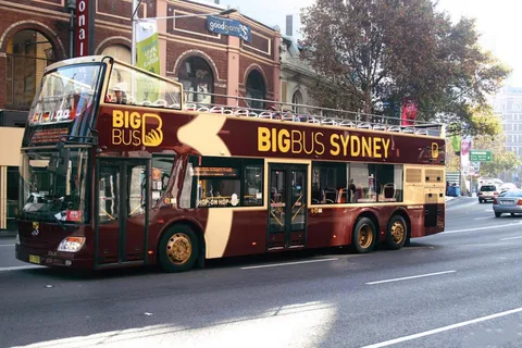 4-Day Tour with Hop-on Hop-off Bus & City Pass Combo