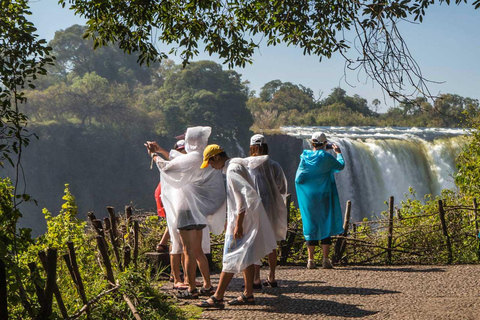 Chutes Victoria : Visite guidéeChutes Victoria : Visite guidée - côté zambien