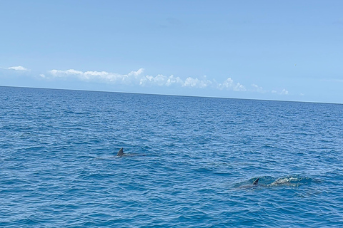 Nungwi/Kendwa: Mnemba Island Dolphin &amp; Snorkeling Tour en barcoTraslado desde Kendwa o desde Nungwi