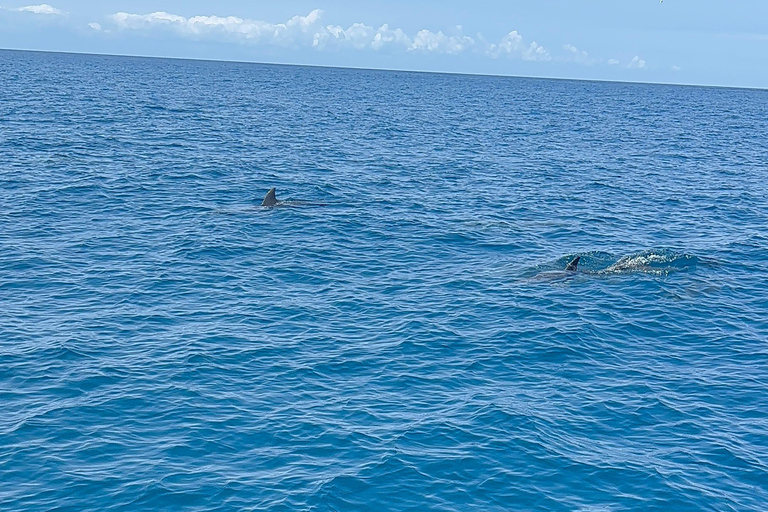 Nungwi/Kendwa: Mnemba Island Dolphin &amp; Snorkeling Tour en barcoTraslado desde Kendwa o desde Nungwi