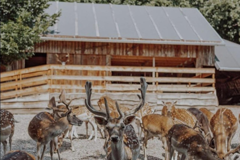 萨格勒布：普利特维采湖、战争历史和野生动物之旅