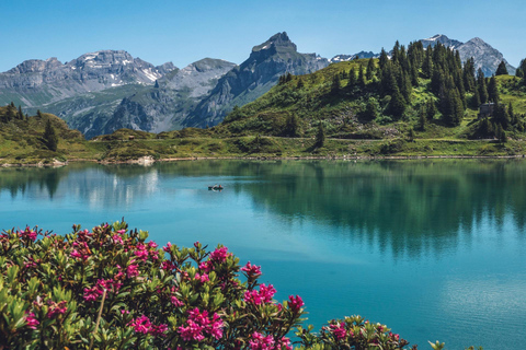 Privat naturskön dagsutflykt från Lucerne till Mount Titlis Summit