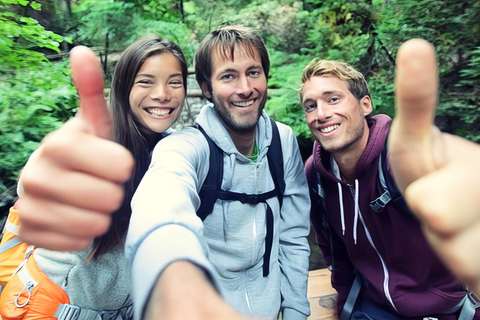 瀑布、巧克力之旅、雨林、皇家历史遗迹瀑布之旅、巧克力之旅、热带雨林、皇家历史之旅