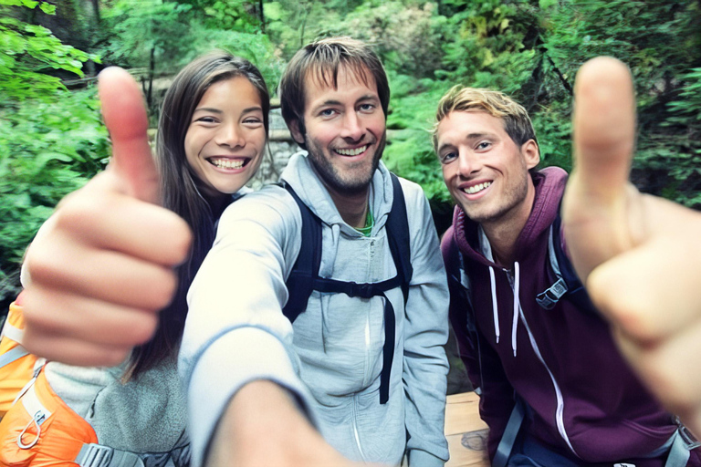 瀑布、巧克力之旅、雨林、皇家历史遗迹瀑布之旅、巧克力之旅、热带雨林、皇家历史之旅