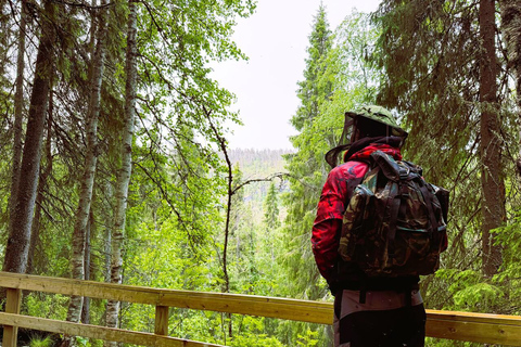 Rovaniemi to Ruka Roller Coaster & Korouoma Canyon Waterfall
