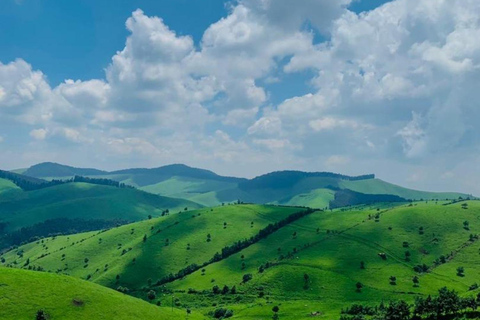 4-dniowy trekking z gorylami w Rwandzie, jezioro Kivu i safari w jaskini.