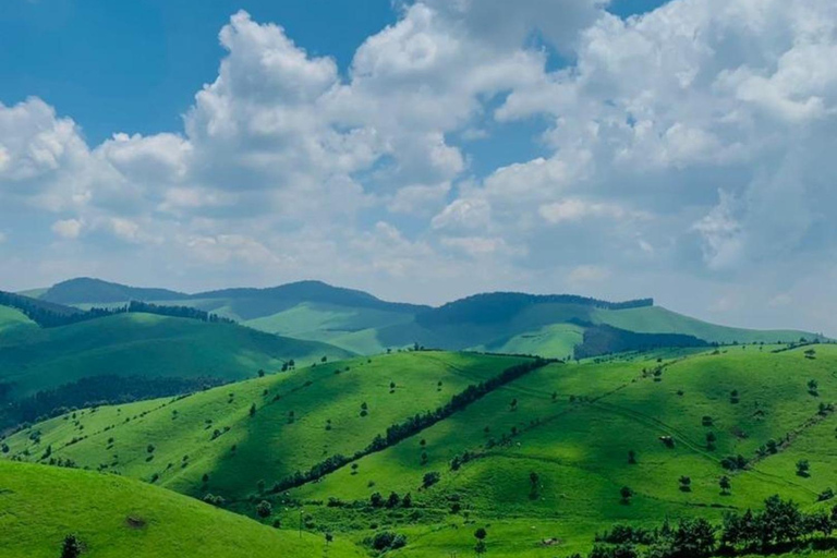 4 días de senderismo por Ruanda con gorilas, lago Kivu y safari por cuevas.