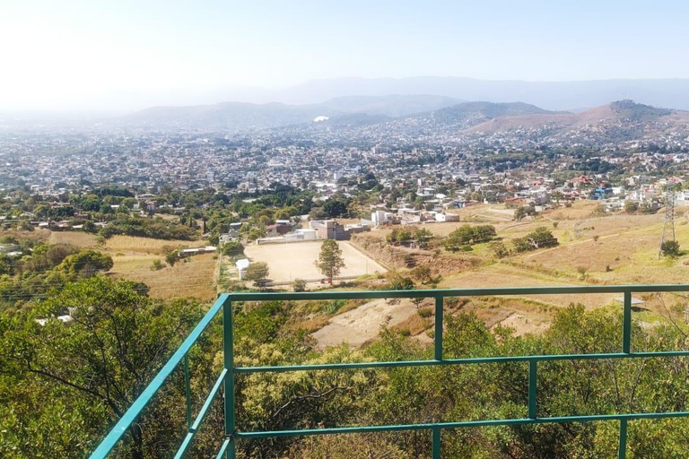 Oaxaca: Wild Agave Mountain Hike with Trail-Side Tasting