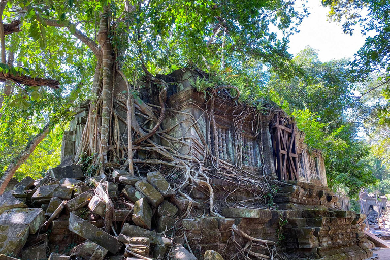 Excursión de un día a los Templos de Beng Melea y Koh Ker desde Siem ReapTemplos de Beng Melea y Koh Ker Vehículo con Conductor