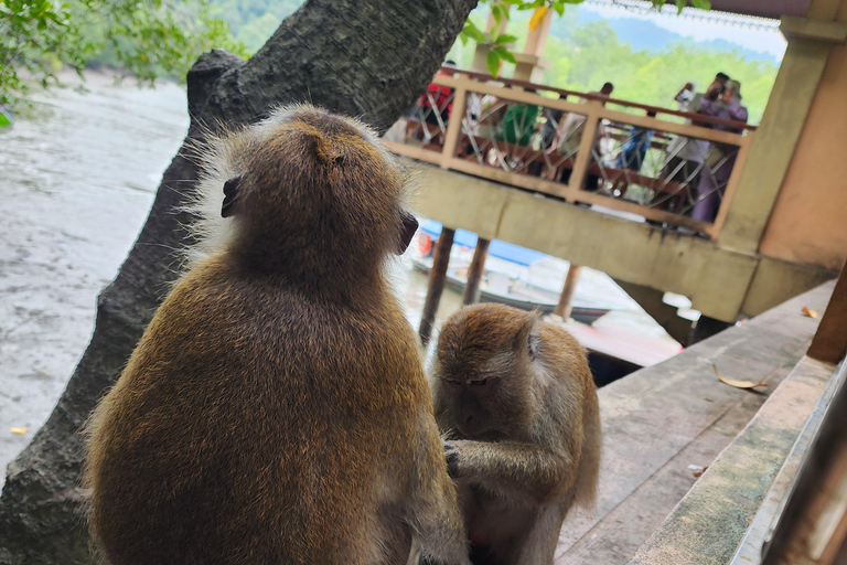 Langkawi : Tour en barco y kayak por los manglares con almuerzo