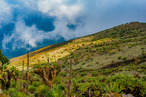 hiking tour with Gloria