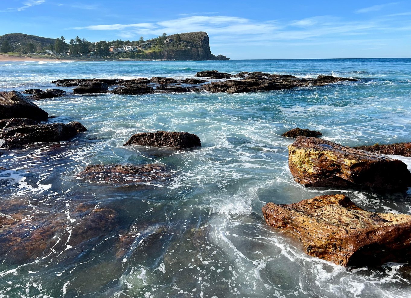 Sydney: Northern Beaches and Ku-ring-gai National Park Tour