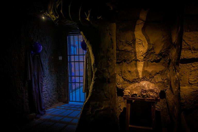 From Arusha : Tanzanite Experience Arusha Museum tour