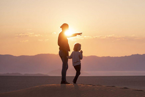 From Windhoek: 6-Day Namibia Safari with Lodging & Meals