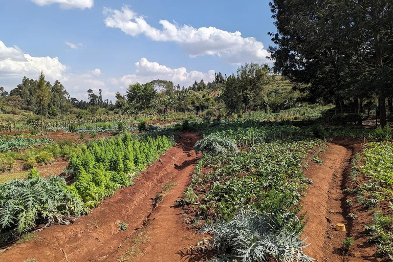 Nairobi: Kangemi Mlango Organic Farm Guided Tour