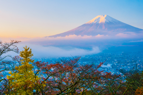 Tokyo: Private Mt. Fuji Luxury Day Tour – Fully Customizable Luxury Land Cruise Customizable Tour