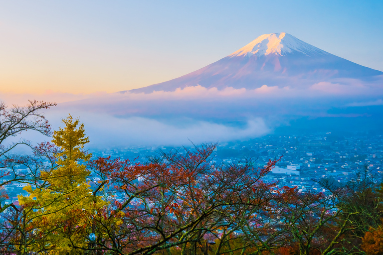 Tokyo: Private Mt. Fuji Luxury Day Tour – Fully Customizable Luxury Land Cruise Customizable Tour