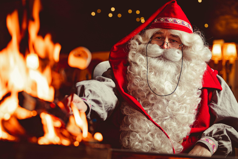 Levi：Arcandia，精灵法庭/日光和公园/黑暗精灵法庭：3 小时体验和公园之旅