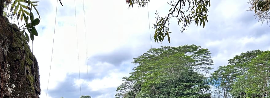 Au départ de Hilo : visite du parc national des volcans d'Hawaï