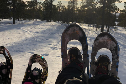 Levi: Excursión con raquetas de nieve y visita a una granja de renosPaseo con raquetas de nieve y visita a una granja de renos