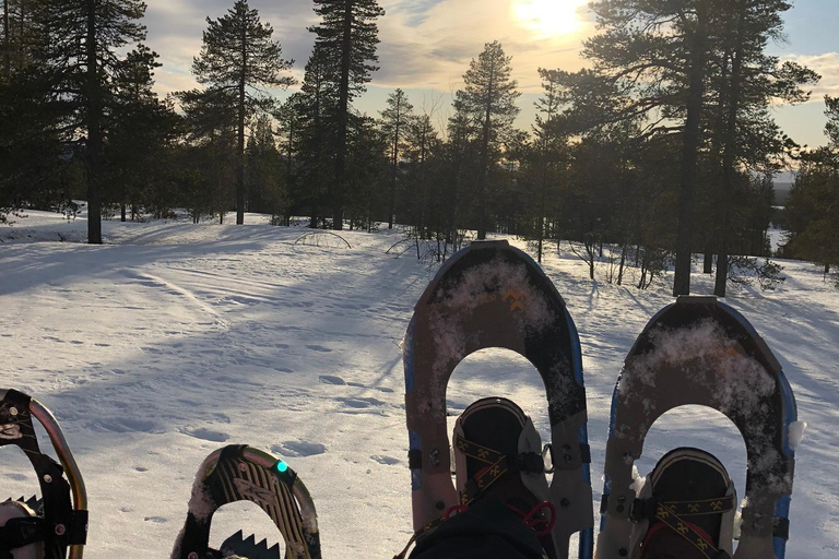 Levi: Excursión con raquetas de nieve y visita a una granja de renosPaseo con raquetas de nieve y visita a una granja de renos