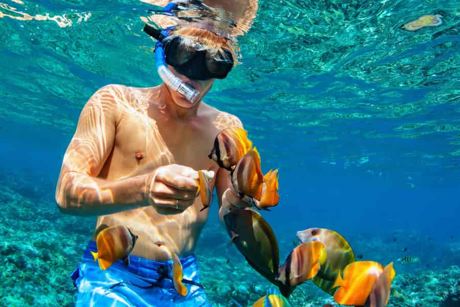 Nassau: Inselausflug-Bootstour. Foto: GetYourGuide