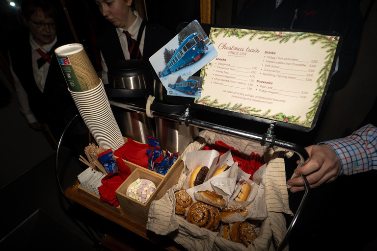 Rovaniemi Insider: Night train in Winter Forest