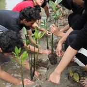 South Bali Conservation Experience with a Local