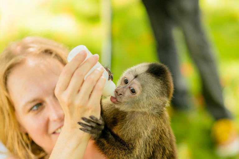 Punta Cana: Monkey House von Jhoraji mit Hotelabholung