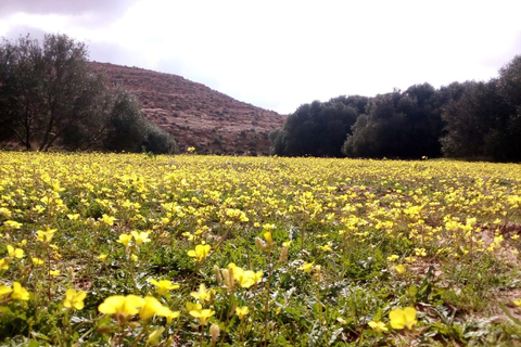 Trekking dans le sud tunisien CHENINI