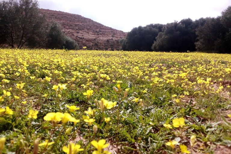 Trekking in southern Tunisia CHENINI