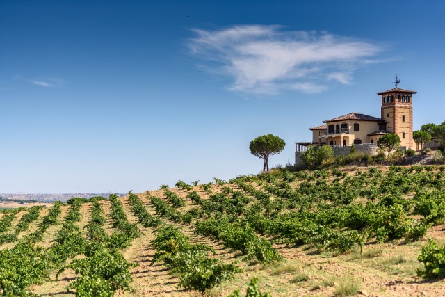 Visit Toro Piedra Winery Tour & Oak barrel Tastings in Douro Valley
