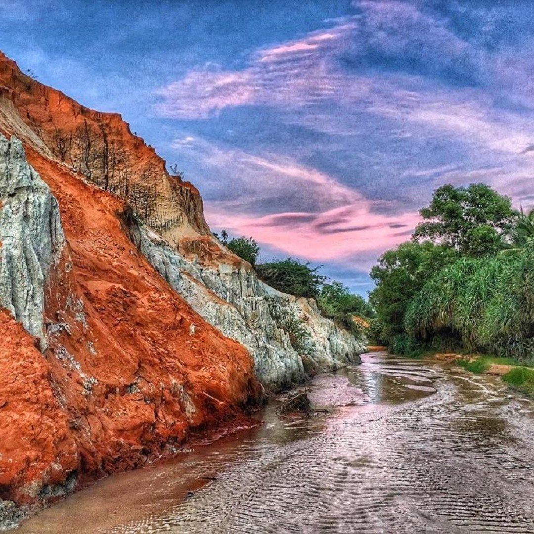Galería de fotos para redes