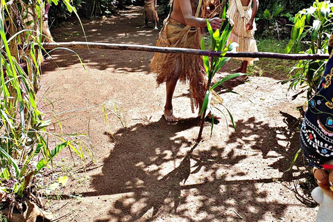 From Port Vila: Efate Round Island Tour with Top Rock Lunch