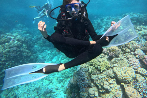 Intro Diving Débutant et découverte de la mer rouge sous l&#039;eau